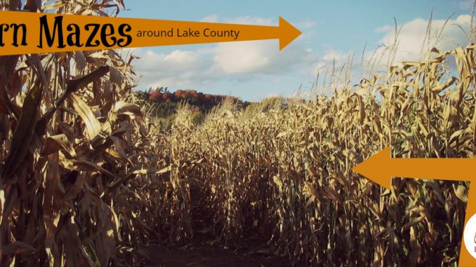 corn mazes in Lake County