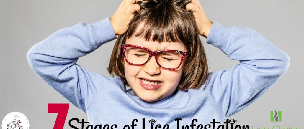 stages of lice infestation
