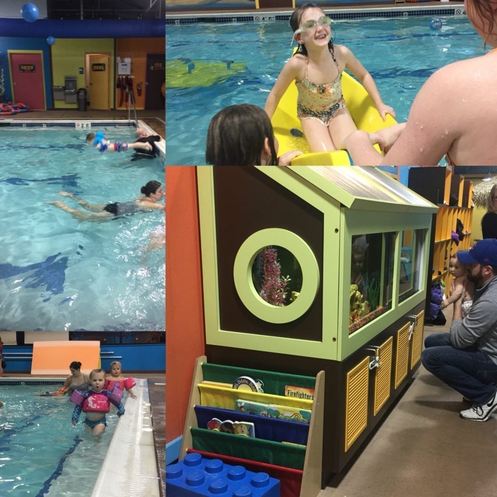 goldfish swim school
