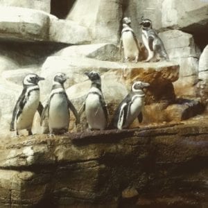 gifts that give back