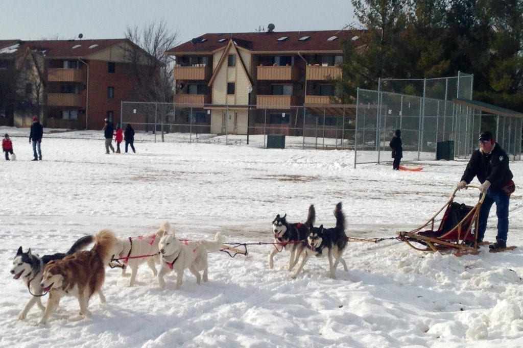winter festivals lake county