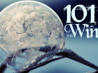 things to do in winter