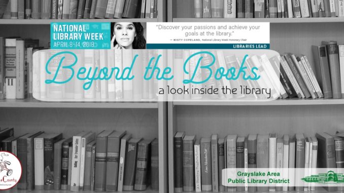 beyond the books a look inside the library grayslake public library