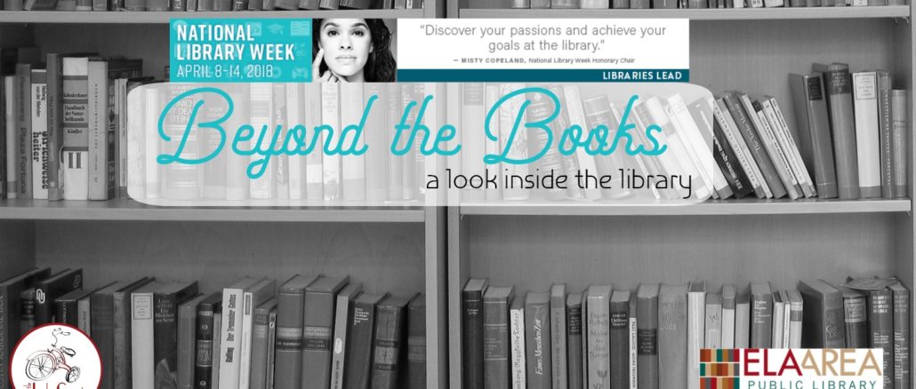 Ela Area Public LIbrary