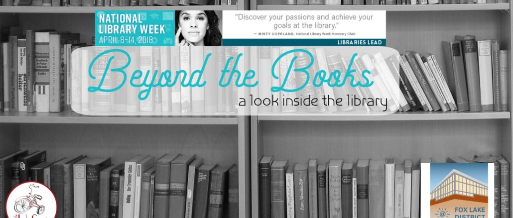 fox lake district library