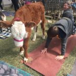 Little Reviews: Goat Yoga at Kamins Farm Sanctuary {Grayslake}