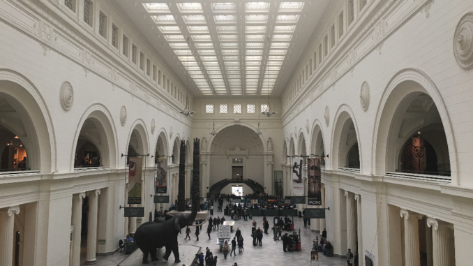 field museum chicago lobby