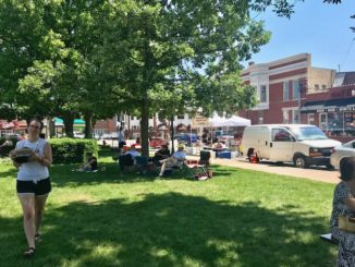 lunch in the park Libertyville