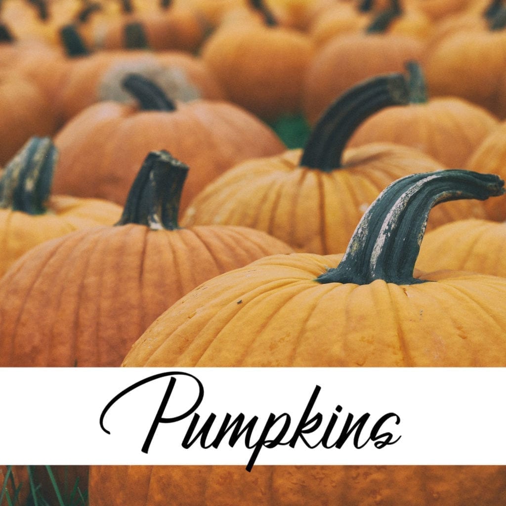 pumpkin patches in lake county