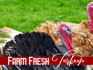 farm fresh turkeys lake county