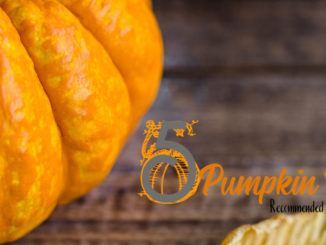 pumpkin themed books