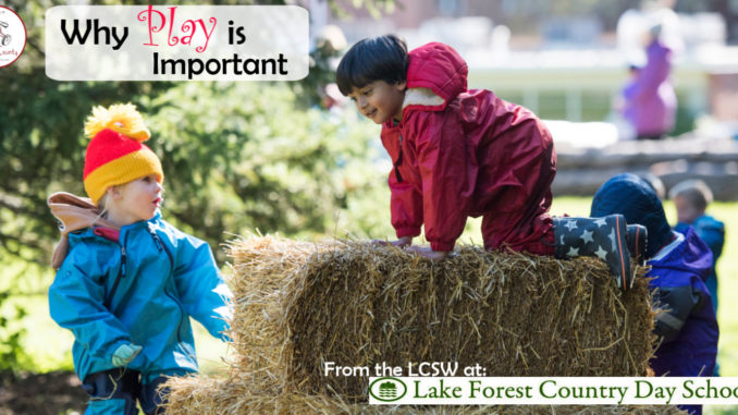 the importance of play