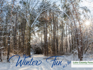 winter in the preserves