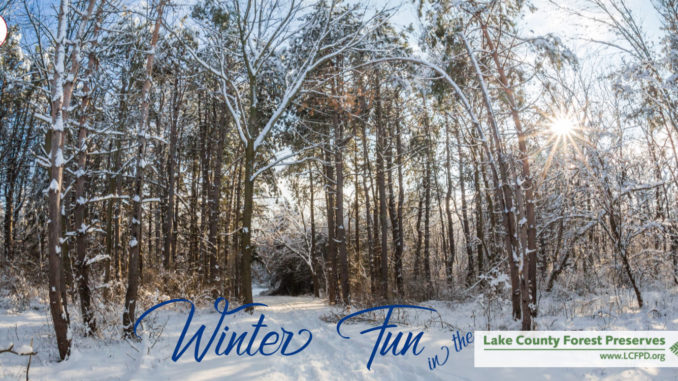 winter in the preserves