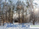 winter in the preserves