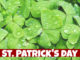 st. patrick's day lake county